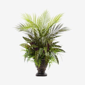 Mixed Areca Palm, Fern and Peacock with Planter - Green