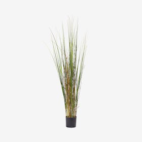 Grass and Bamboo Plant - Green