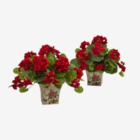 Geranium Flowering Plants with Floral Planters - Red - Set of 2
