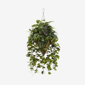 Vining Mixed Greens with Cone Hanging Basket - Green