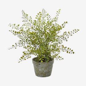 Maiden Hair Artificial Plant in Decorative Planter - Green