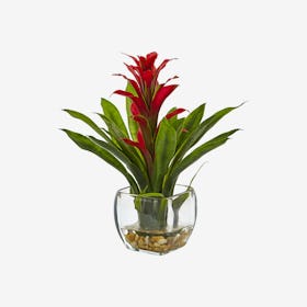 Bromeliad Flower Arrangement with Vase - Red