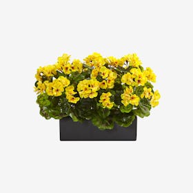 Indoor / Outdoor UV Resistant Geranium in Planter - Yellow