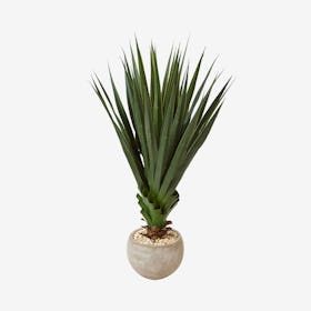 Indoor / Outdoor Spiked Agave in Bowl - Green