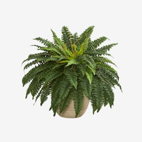 Boston Fern Artificial Plant in Sandstone Planter - Green