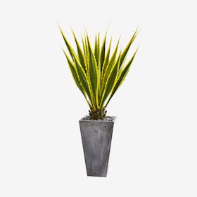 Agave Artificial Plant in Planter - Green