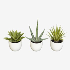 Southwest Plants - Green - Set of 3