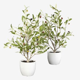 Olive Trees with Vases - Green - Set of 2