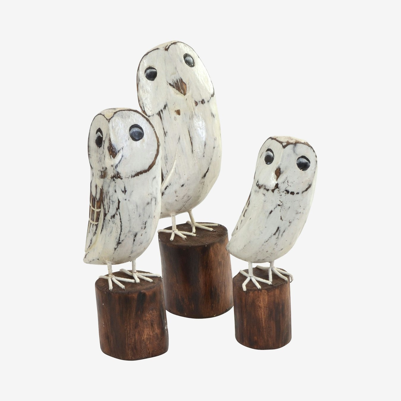 Owls Ornaments - Set of 3 by Ancient Mariner
