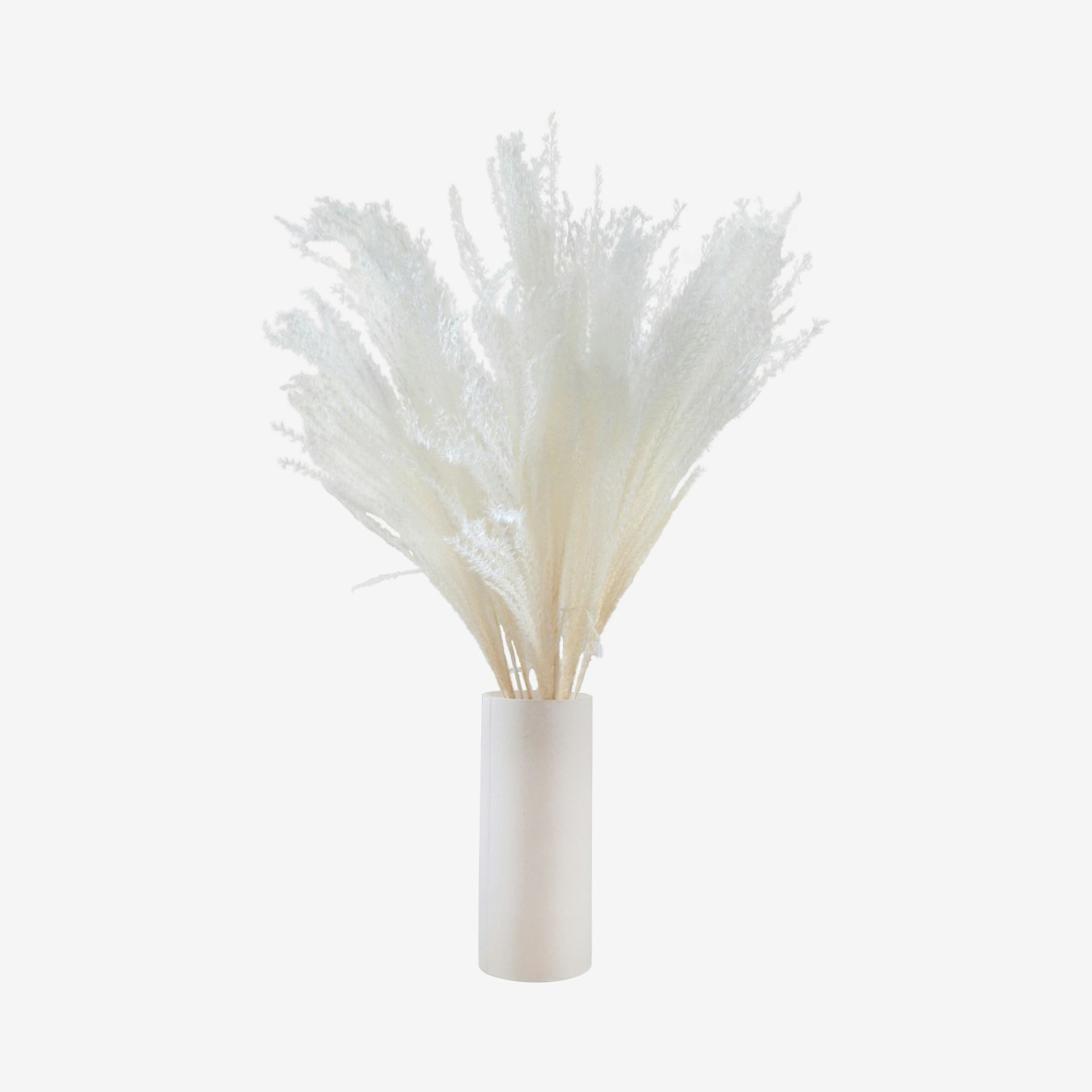 Miscanthus Dried Flower Bunch - White by Pampas & Bloom