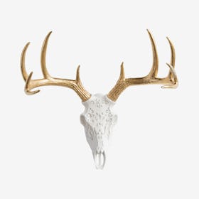 Faux Tribal Deer Skull Mount - White / Gold