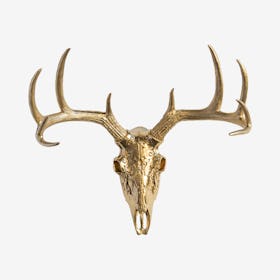 Faux Tribal Deer Skull Mount - Gold