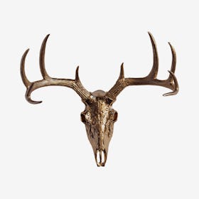 Faux Tribal Deer Skull Mount - Bronze