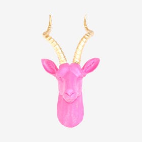Faux Antelope Wall Mount - Hot Pink / Gold