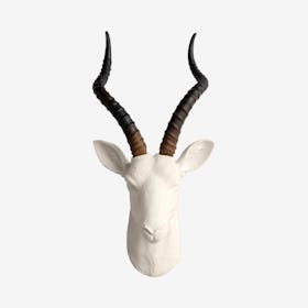 Faux Antelope Wall Mount - Ivory / Natural