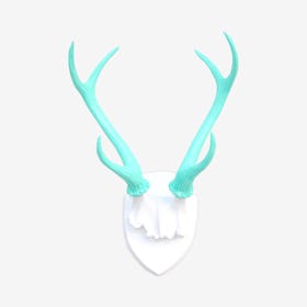 Faux Antler Mount - White / Aqua