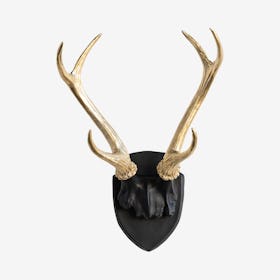 Faux Antler Mount - Black / Gold