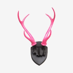 Faux Antler Mount - Black / Hot Pink