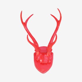 Faux Antler Mount - Poppy