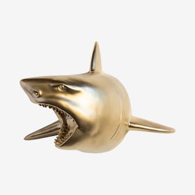 Faux Shark Wall Mount - Gold