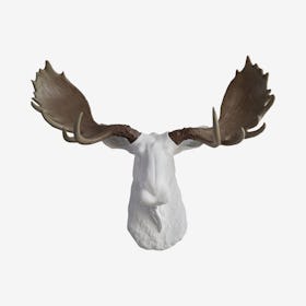 Faux Moose Wall Mount - White / Natural