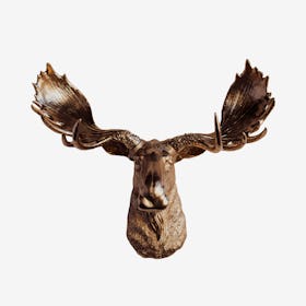 Faux Moose Wall Mount - Bronze