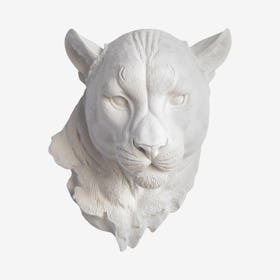 Faux Mountain Lion Mount - White