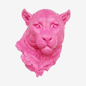 Faux Mountain Lion Mount - Hot Pink