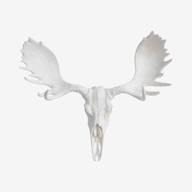 Faux Moose Skull Mount - White