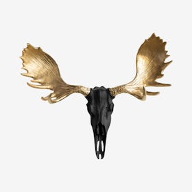 Faux Moose Skull Mount - Black / Gold