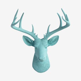 Big Faux Deer Mount - Aqua