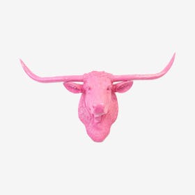 Faux Texas Longhorn Wall Mount - Hot Pink