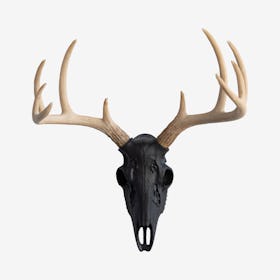 Faux Deer Skull - Black / Natural