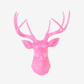 Faux Deer Mount - Hot Pink