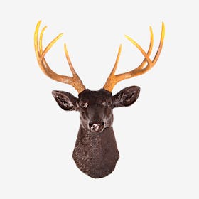 Faux Deer Mount - Espresso / Natural