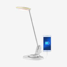 Dixon Aluminum Minimalist Adjustable Dimmable USB Charging LED Task Lamp - Silver