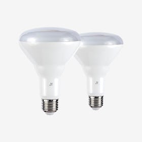 Smart BR30 Dimmable Light LED Bulb - Set of 2