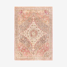 Petras Modern Ornate Medallion Area Rug - Brown / Pink