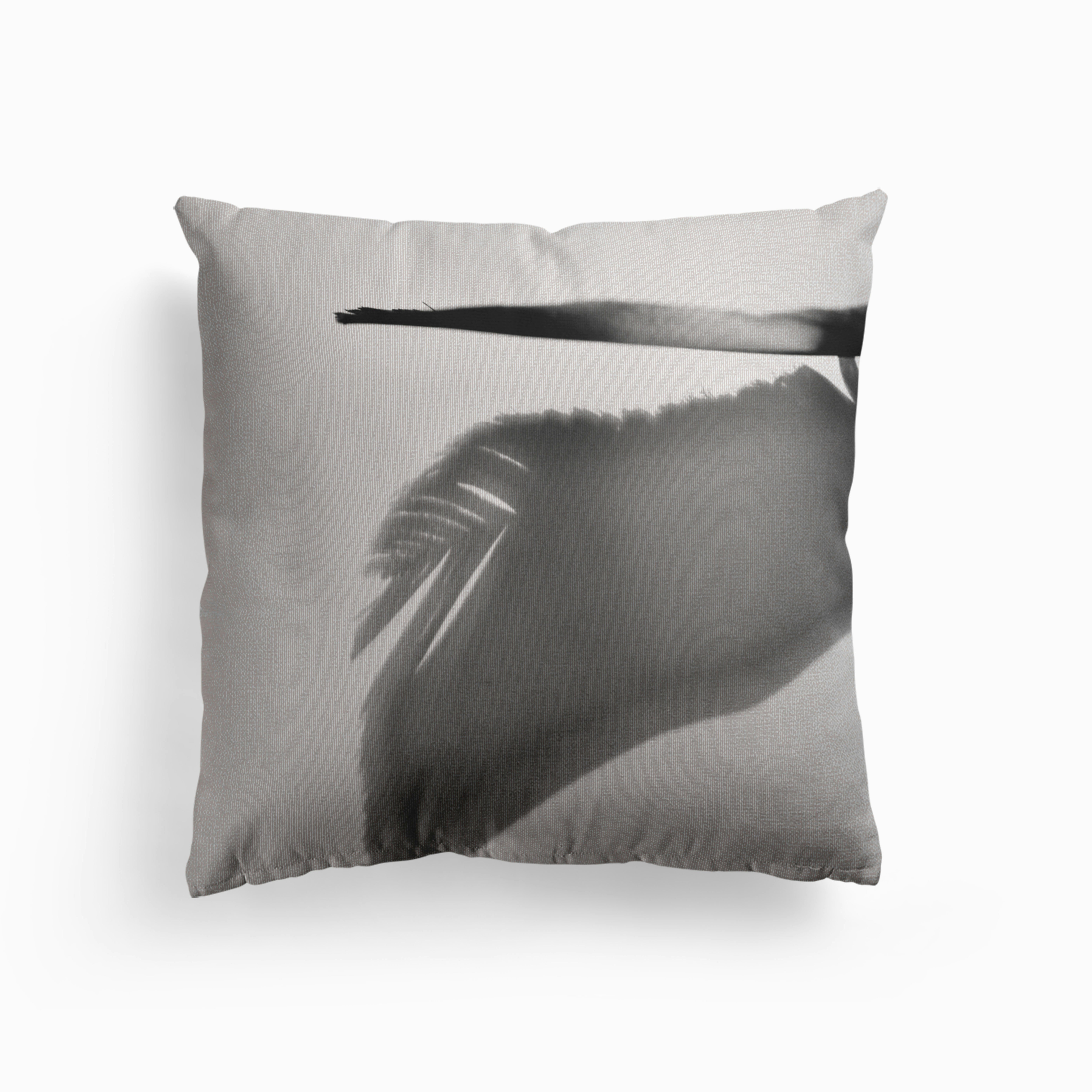 Crow Shadow Canvas Cushion by Kinga Herczeg Photography