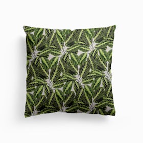 Maranta Plant Canvas Cushion
