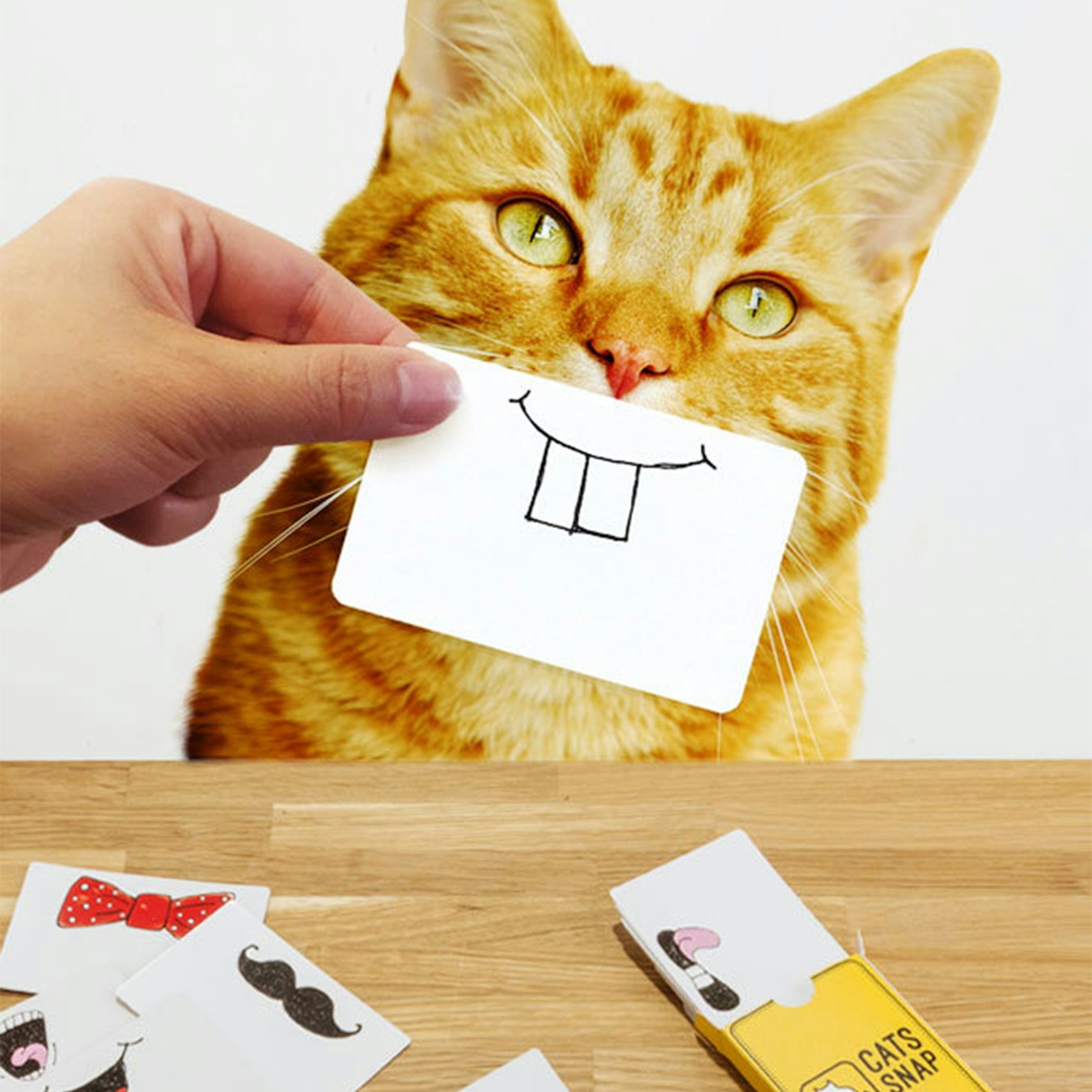 Cats Snap Photo Cards by SUCK UK