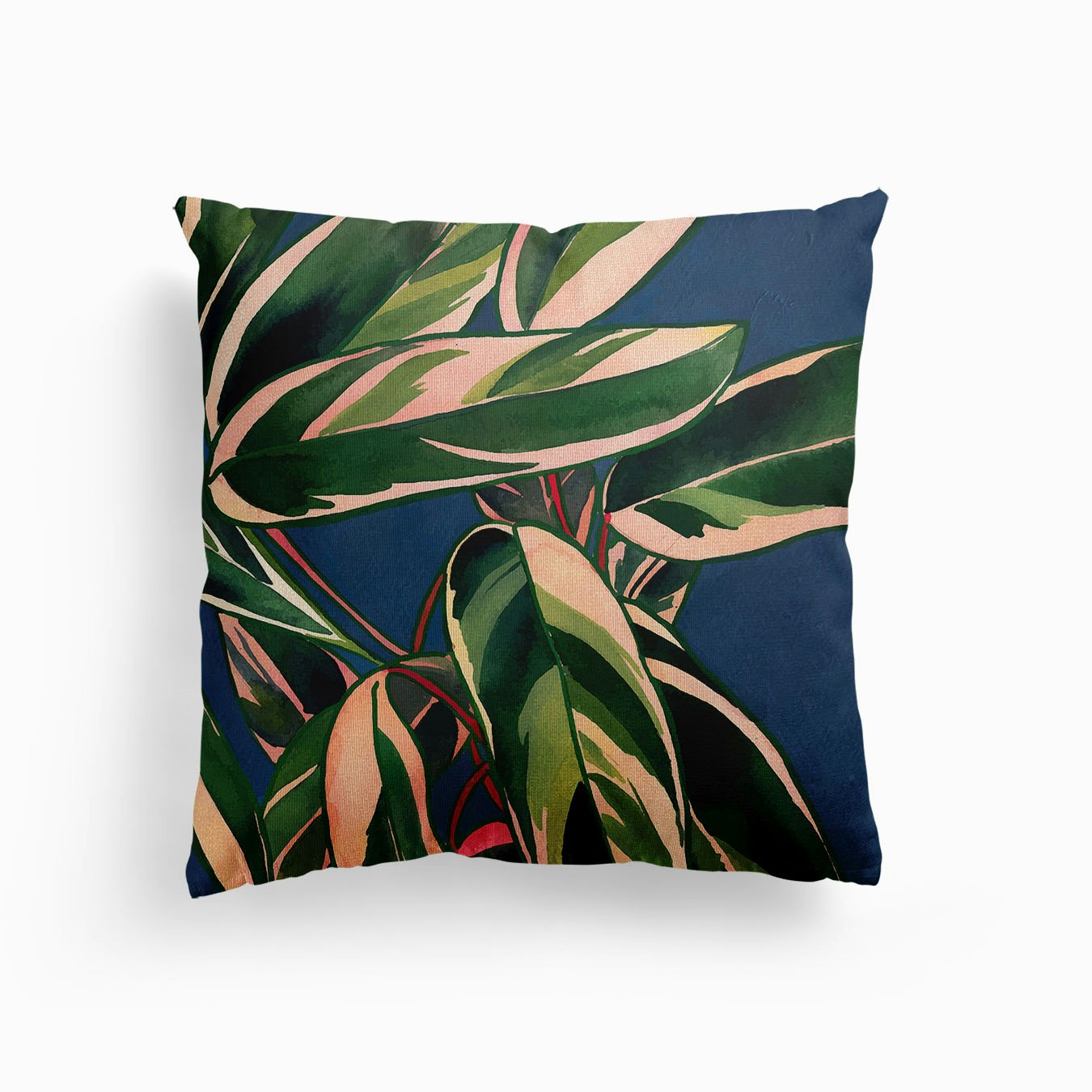 Calathea Plant 2 Canvas Cojín