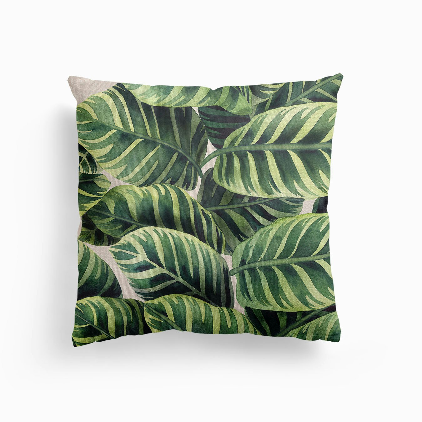 Calathea Plant Canvas Kissen