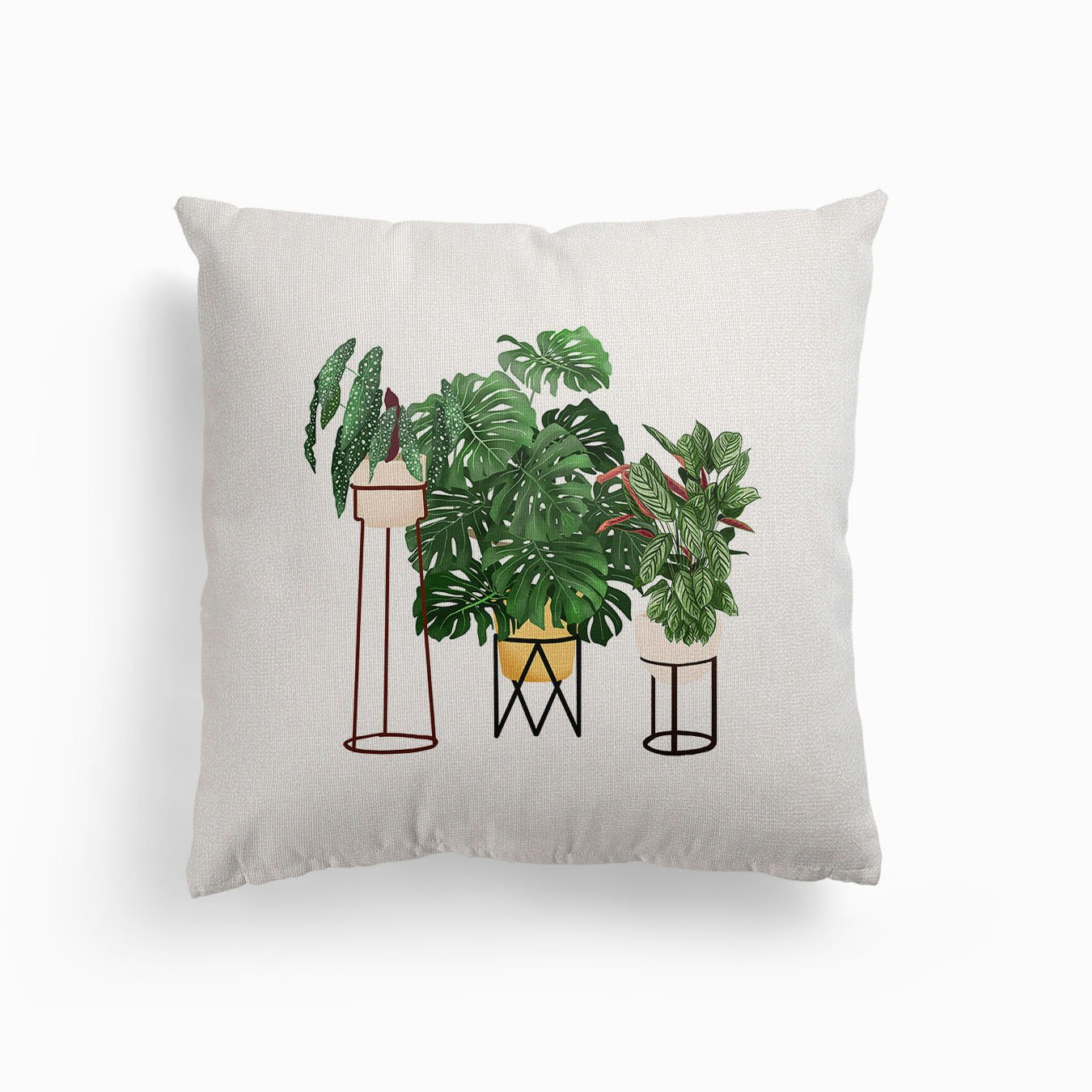 House Plants 3 Canvas Kissen