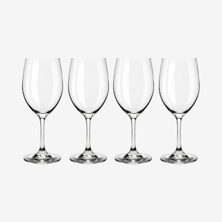 Red and White Wine Tasting Glasses - Set of 4