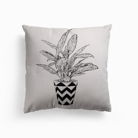 Chinese Evergreen Canvas Cushion