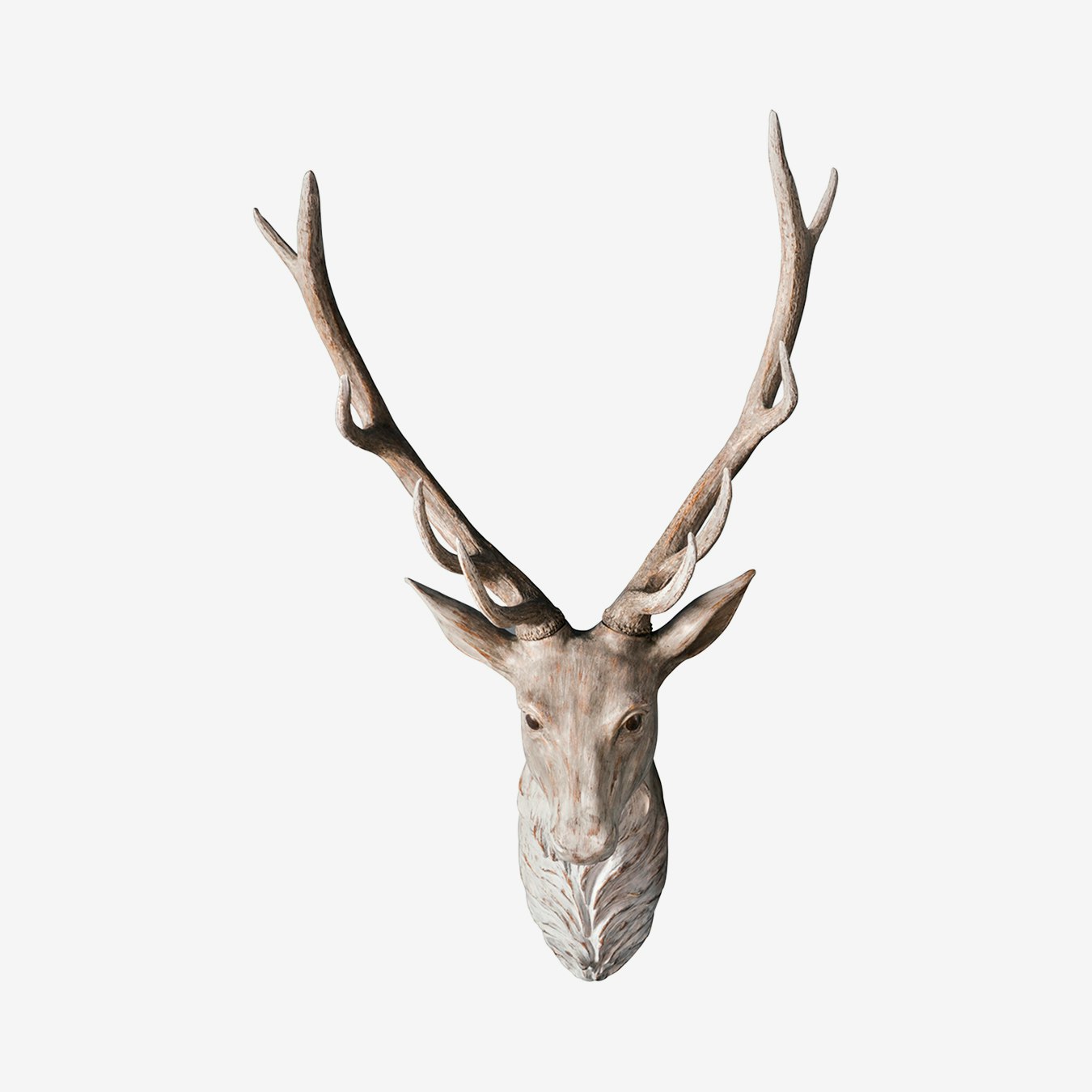 Natural Stag Wall Head by E.S. Designs