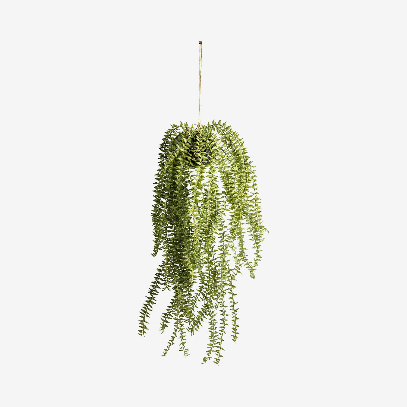 Artificial Hanging Horsetail Cactus by E.S. Designs