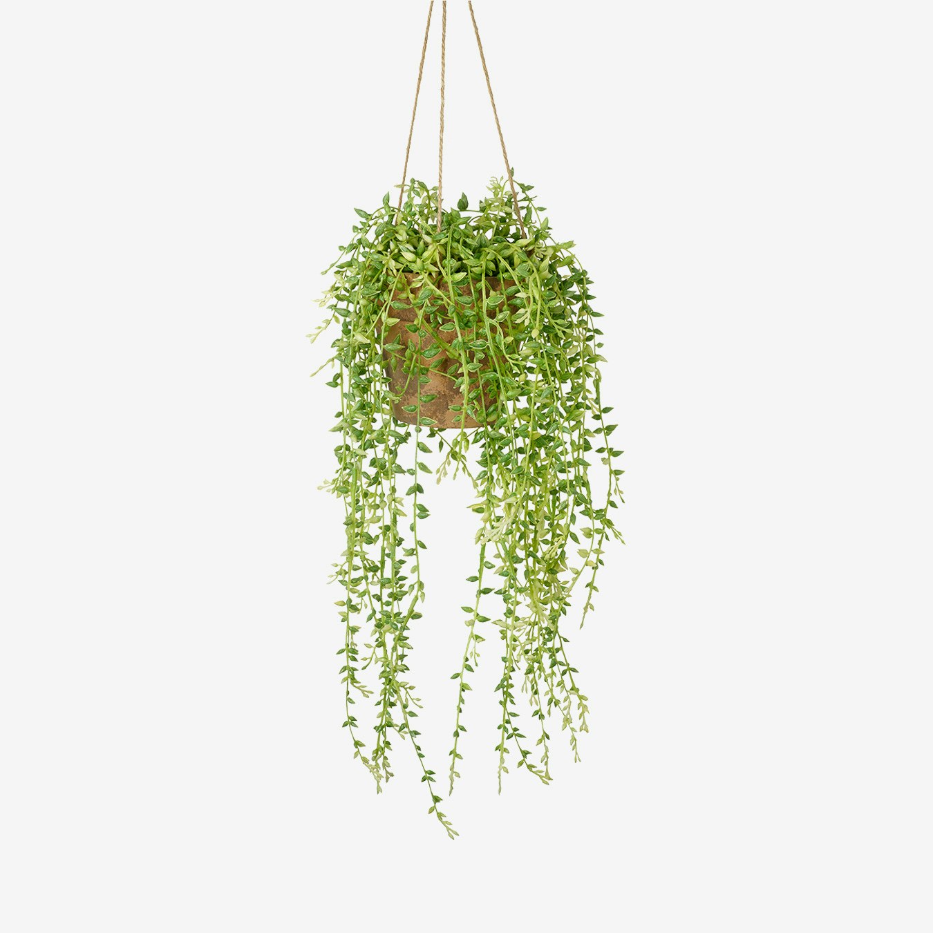 Artificial Hanging Senecio Plant with Cement Pot by E.S. Designs