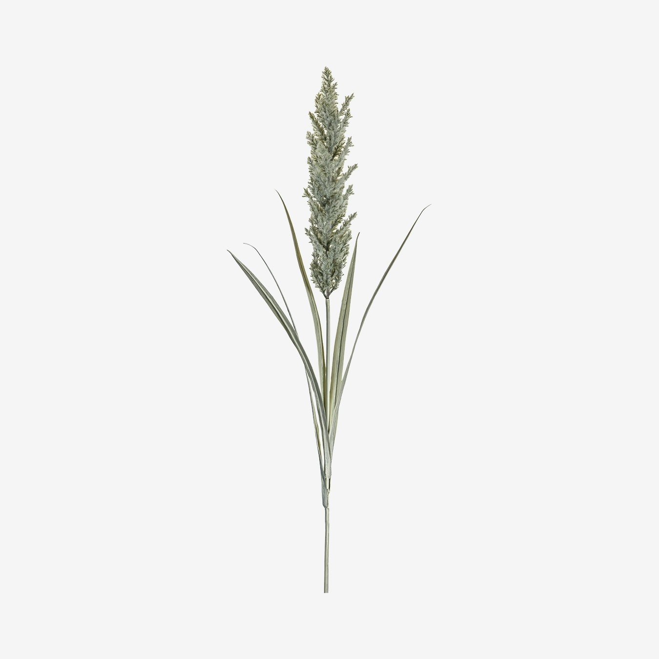 Ivory Pampas Spray by E.S. Designs